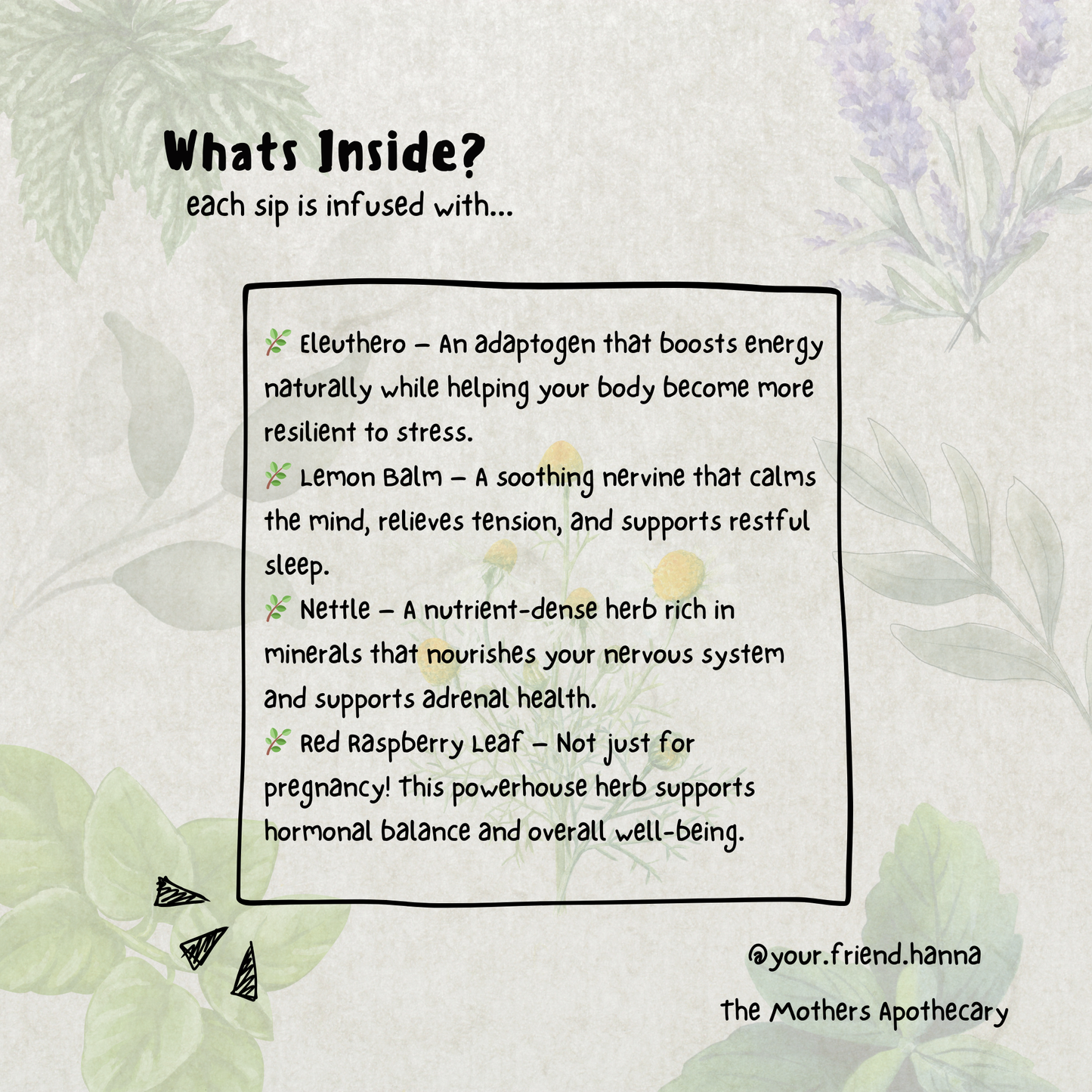 a graphic explaining the benefits of the herbs in the tea blend for overstimulated moms. Eleuthro, Lemon Balm, Nettle, Red Raspberry leaf