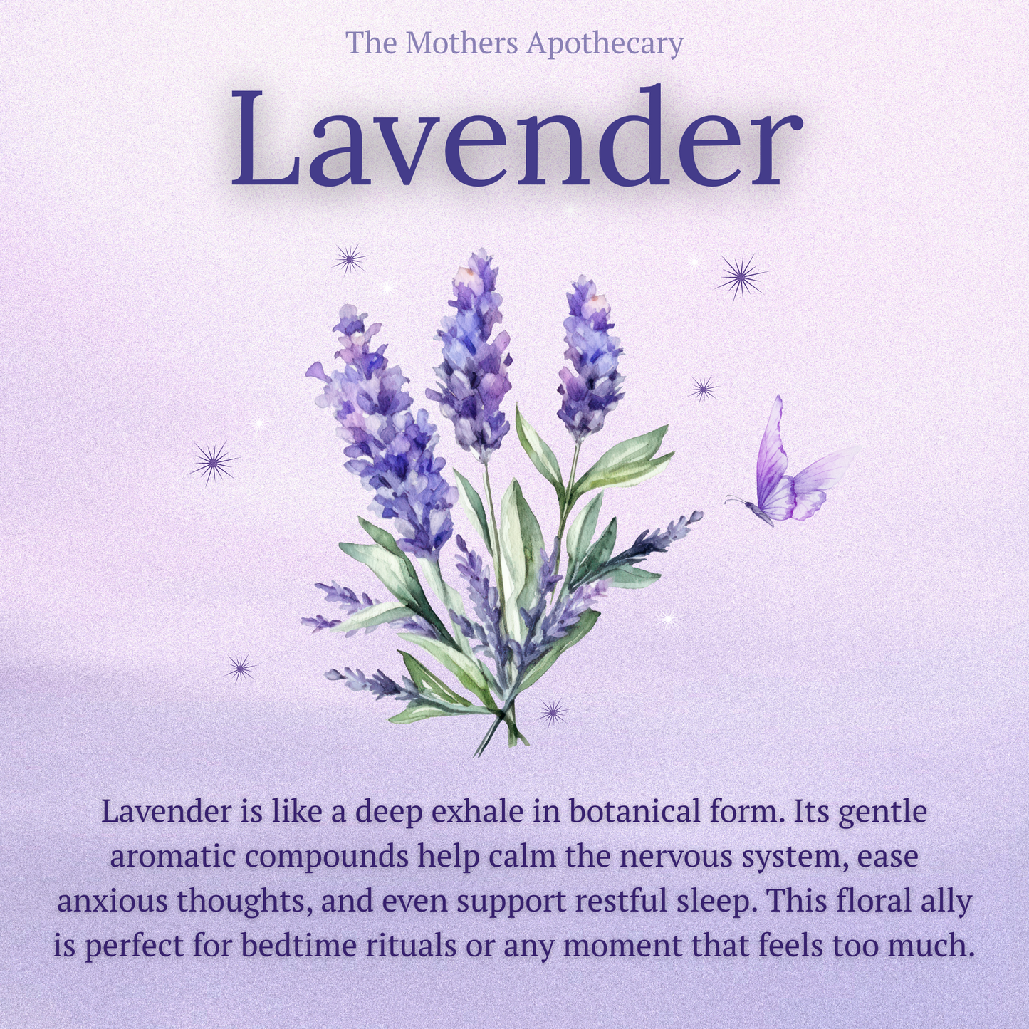 benefits of lavender for calming the nervous system, and sleep