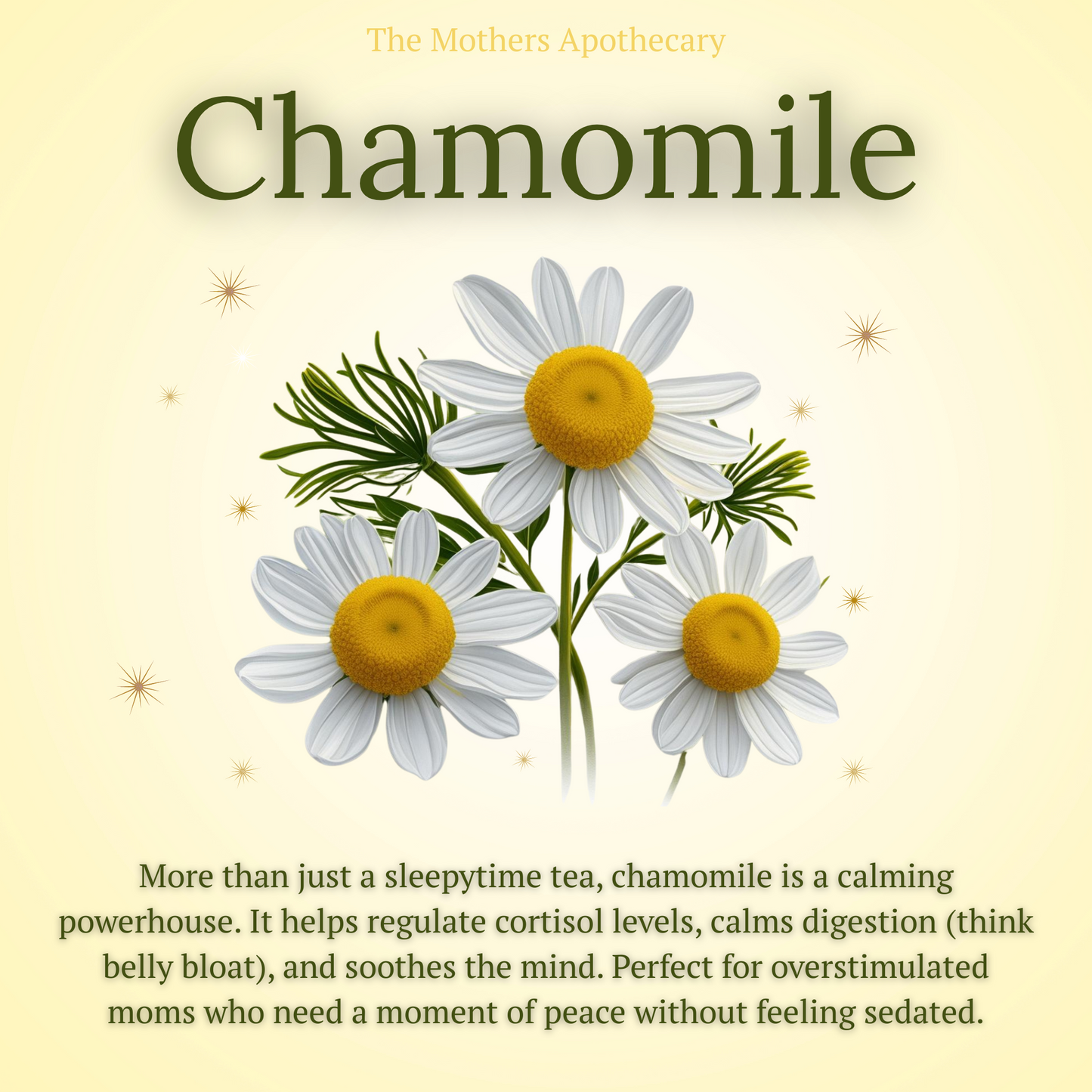 Chamomile is amazing for burnt out, breastfeeding mothers, it helps calm their nervous systems and helps them sleep