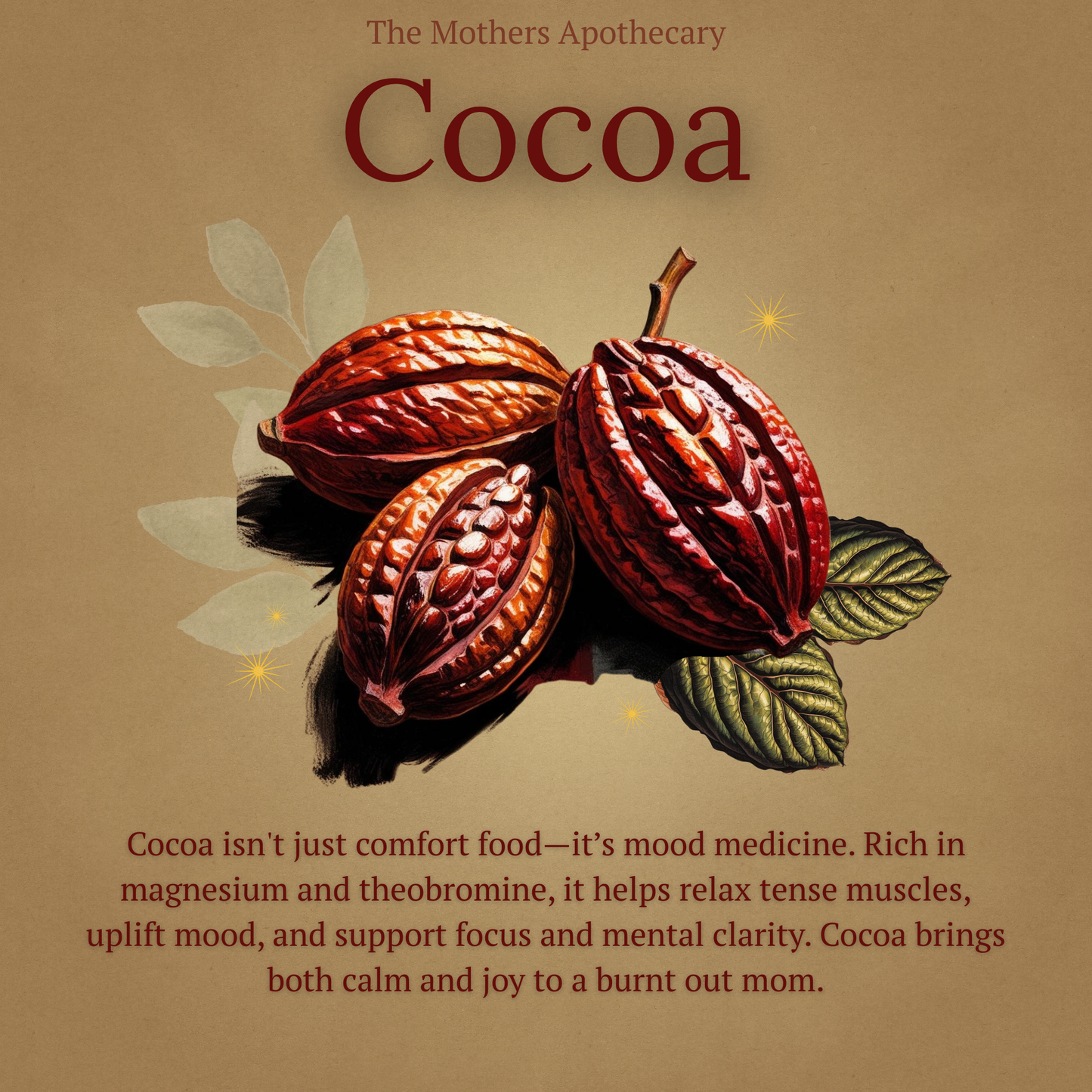 benefits of drinking cocoa for energy, sleep, burnout, and mood