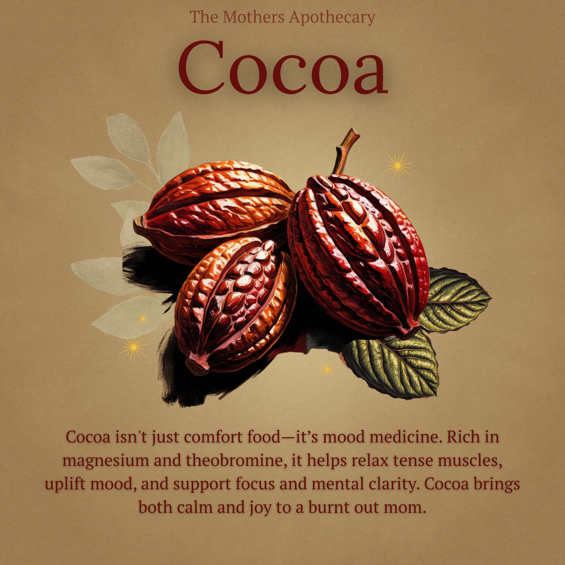 benefits of drinking cocoa for energy, sleep, burnout, and mood
