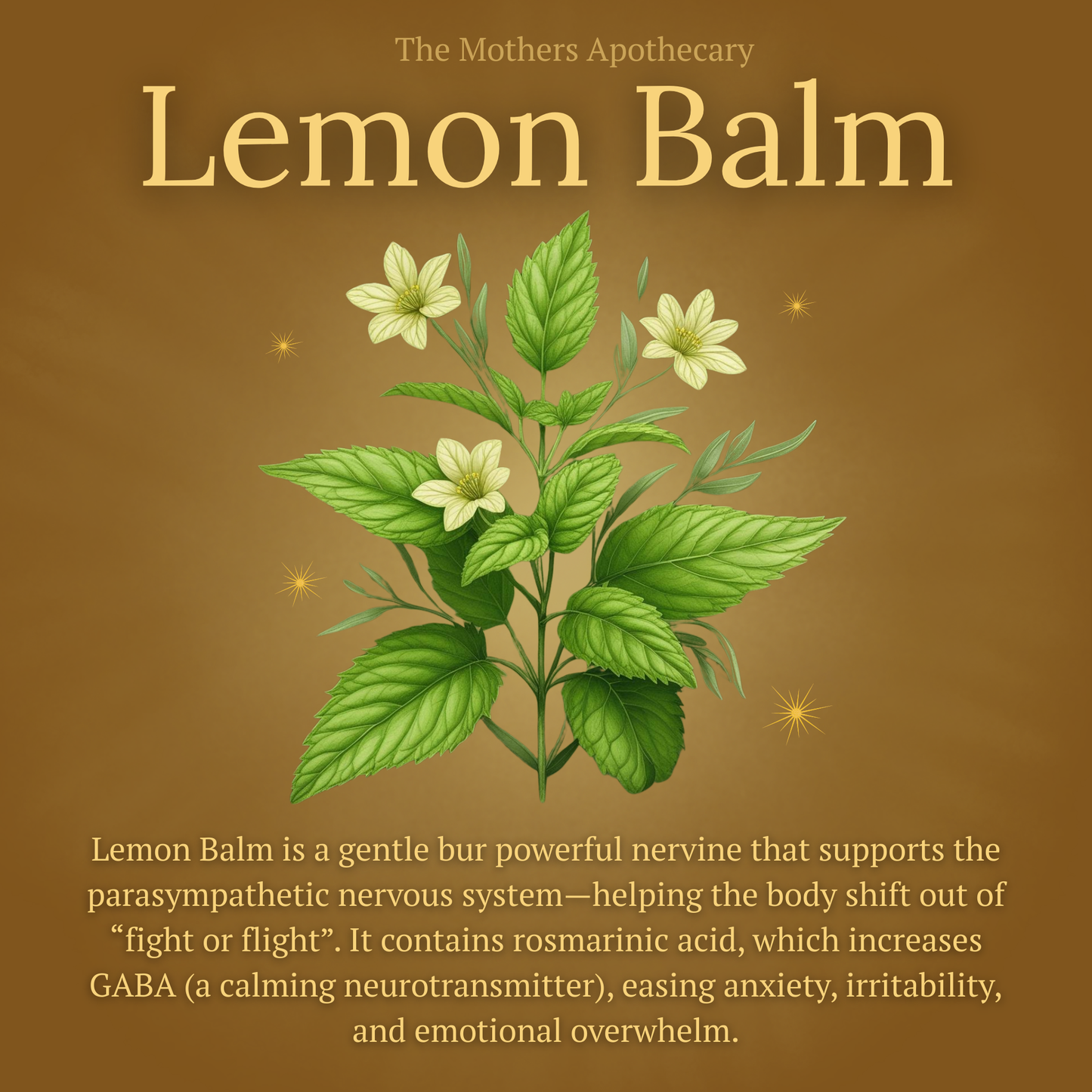 Benefits of Lemon Balm tea in pregnancy: nervine, calms and helps overstimulated moms unwind. 