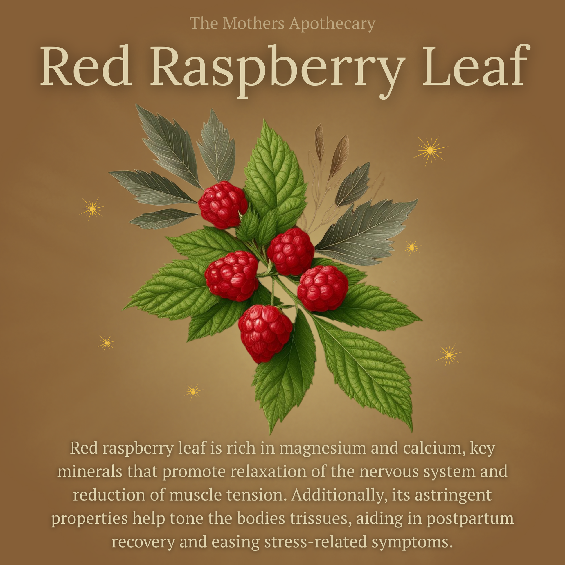 red rapberry leaf helps tone the bodies tissues, tone the uterous, hormone balance, and restores mineral balance in breastfeeding women