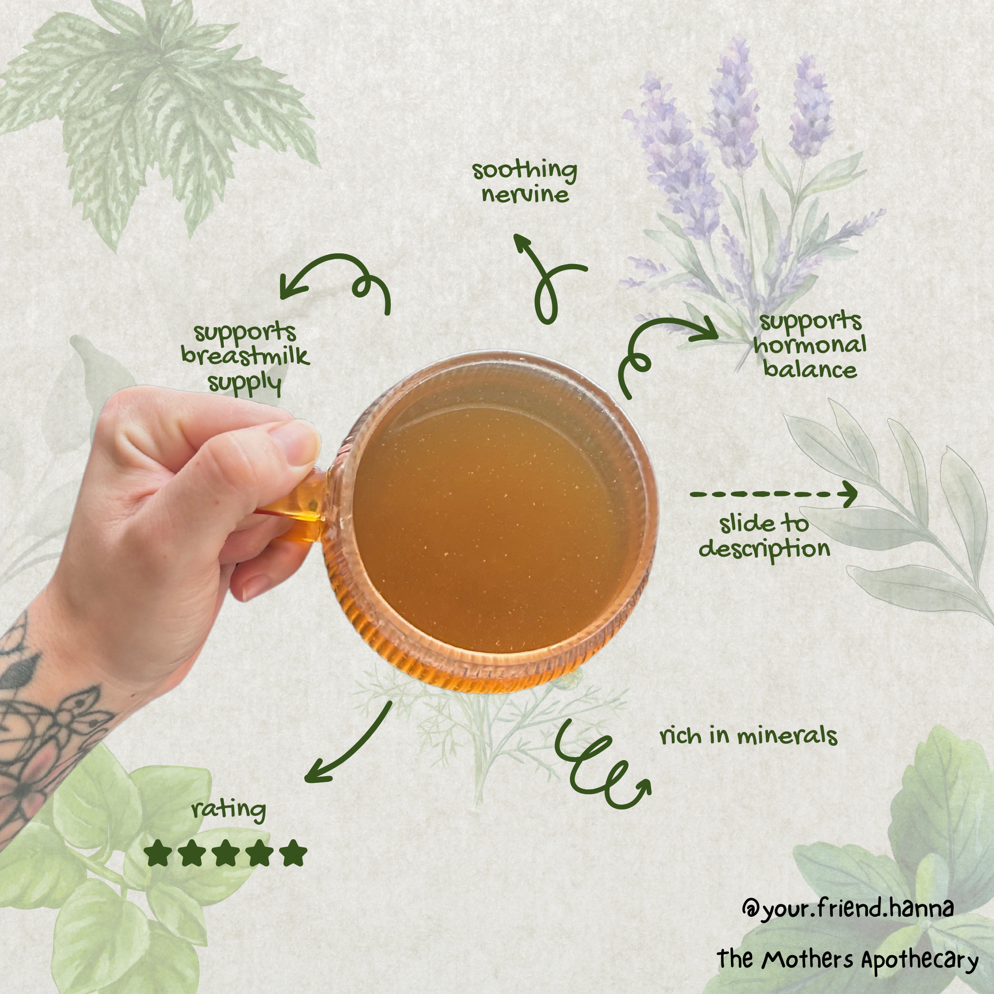 supports a healthy breast milk supply, calms the nervous system, supports hormonal balance, rich in minerals, calming