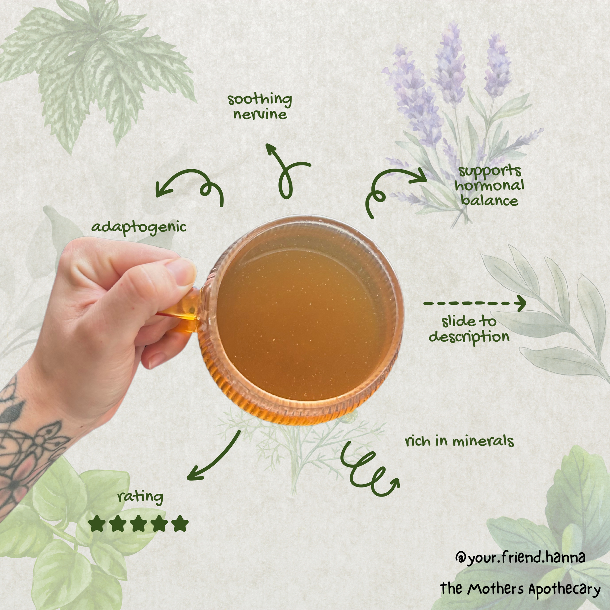 a cup of tea for stress brewed with benefits listed as: adaptogenic, hormonal balance, mineral rich, soothing nervine
